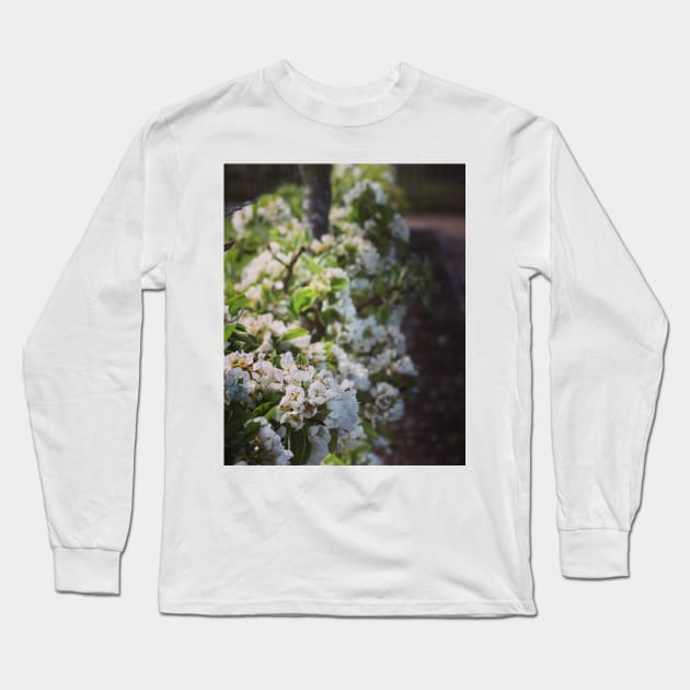 Apple blossom Long Sleeve T-Shirt by Jonesyinc